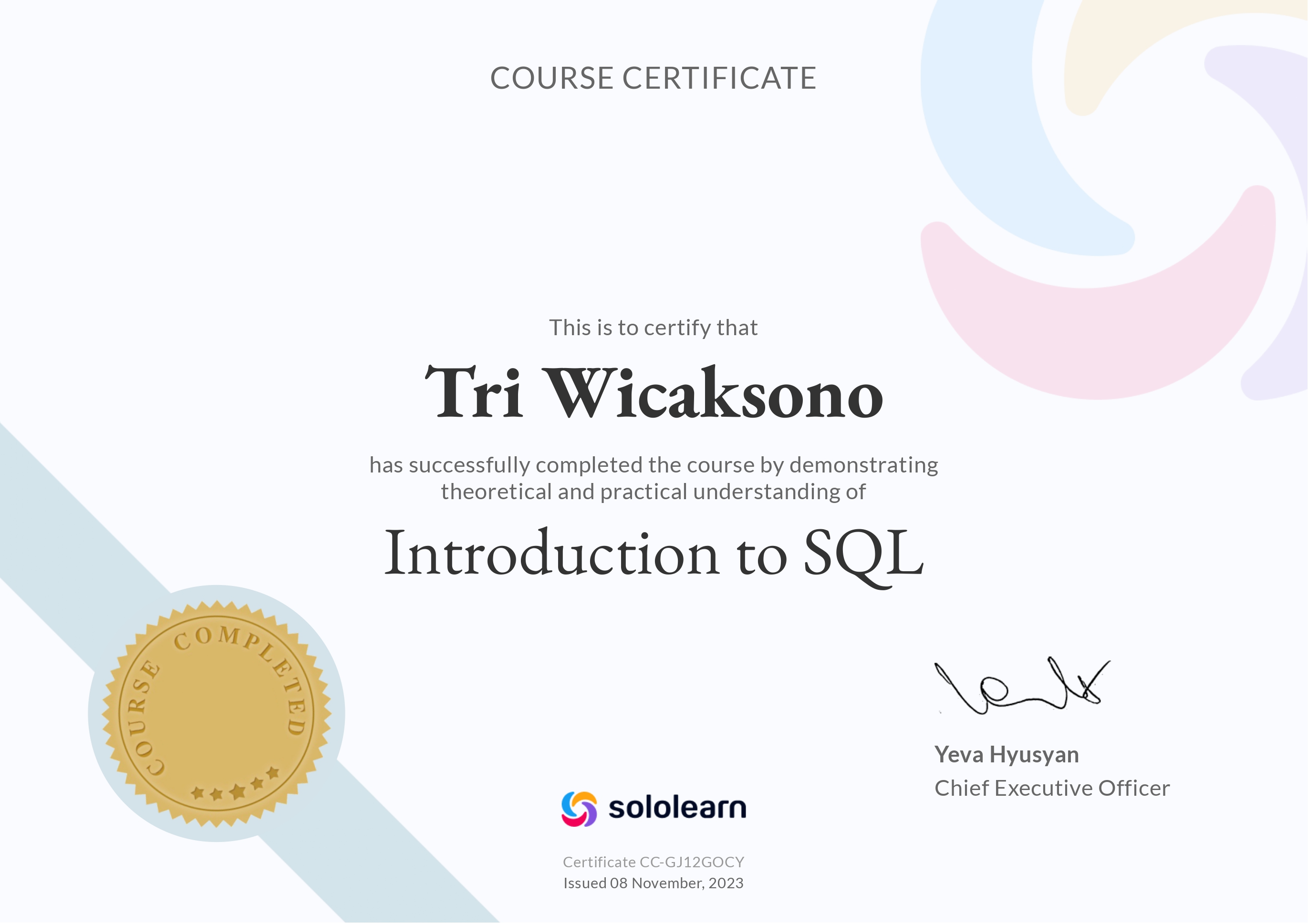 Sertifikat SoloLearn — Introduction SQL